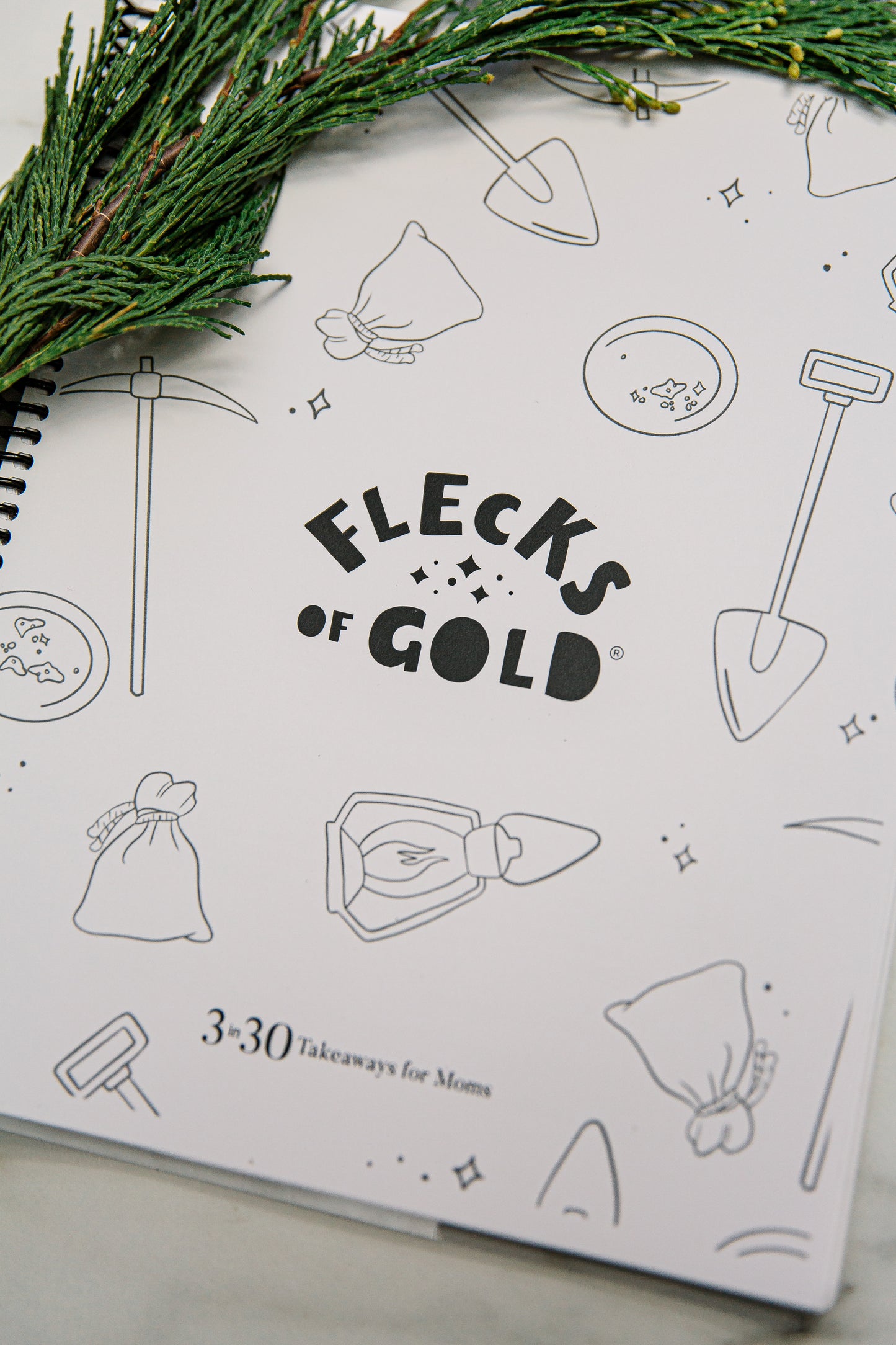 Flecks of Gold Journal for KIDS!  A printable to help teach your children to look for the good, the positive, the GOLD in their lives.  Full year printable with coloring pages included.  Created by Rachel Nielson- host of the 3 in 30 Takeaways for Moms Podcast.