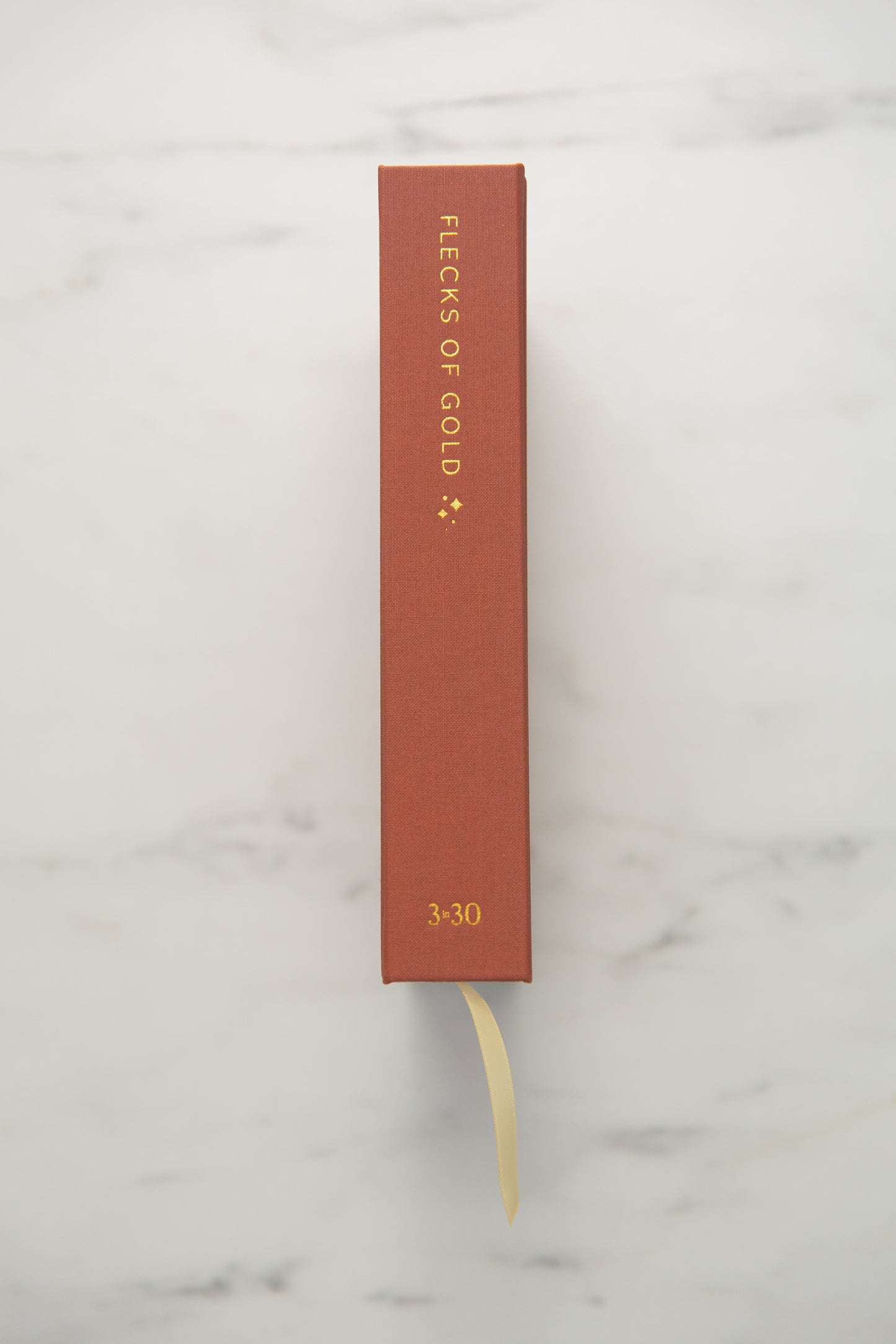 Flecks of Gold 3-Year Journal: Terracotta Linen