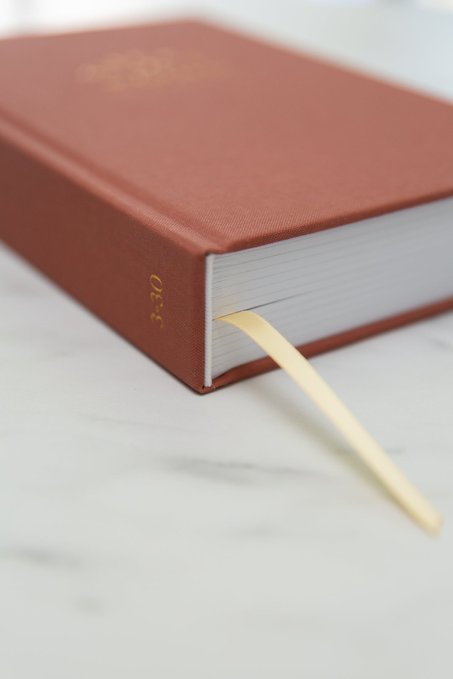 Flecks of Gold 3-Year Journal: Terracotta Linen
