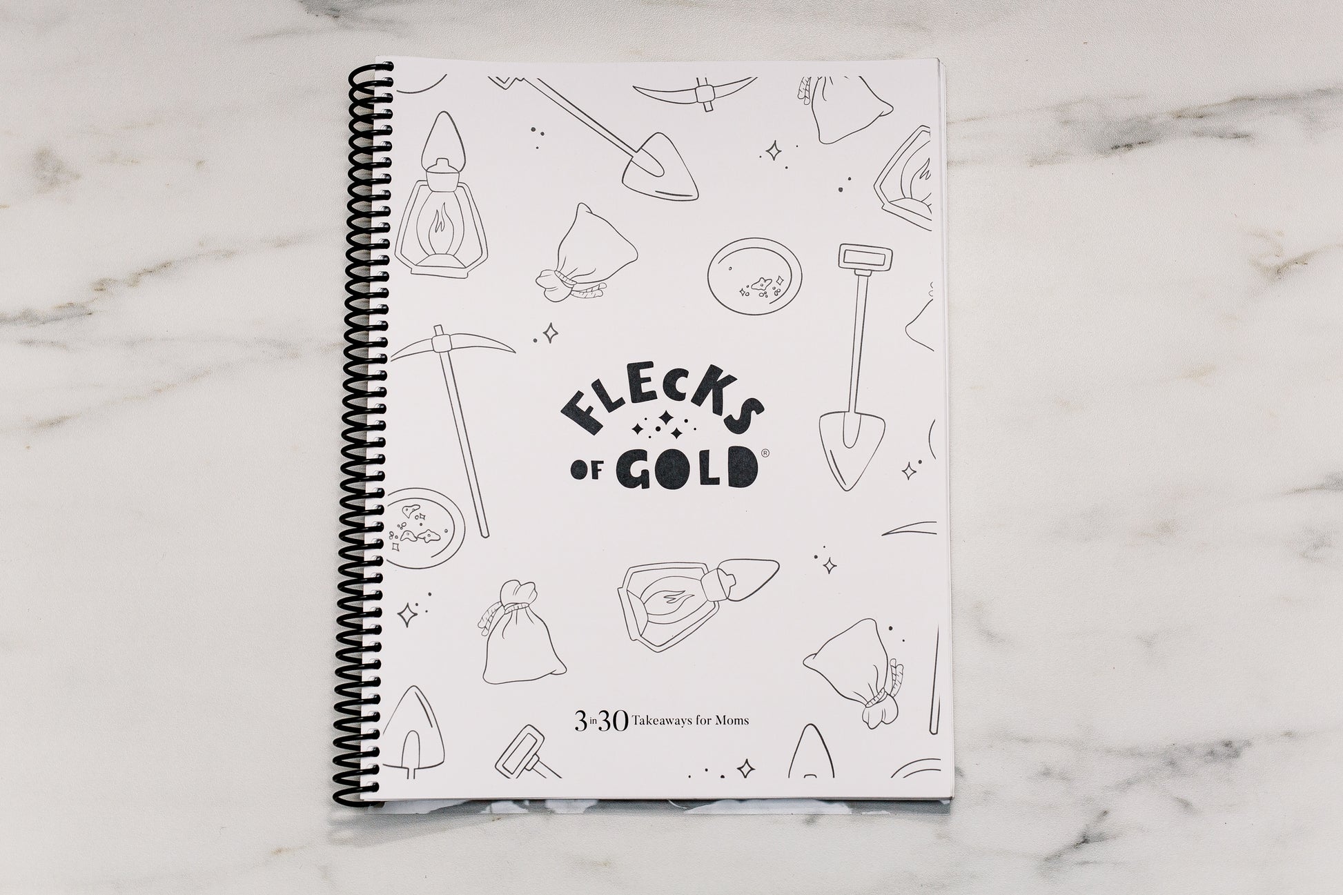Flecks of Gold Journal for KIDS!  A printable to help teach your children to look for the good, the positive, the GOLD in their lives.  Full year printable with coloring pages included.  Created by Rachel Nielson- host of the 3 in 30 Takeaways for Moms Podcast.