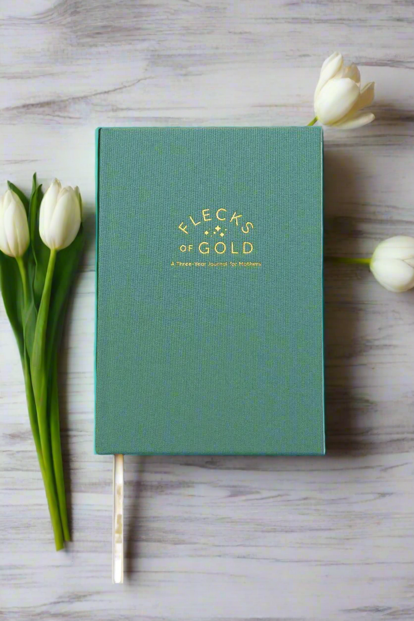 Flecks of Gold 3-Year Journal: Teal Linen